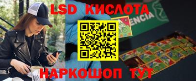 стаф Можга
